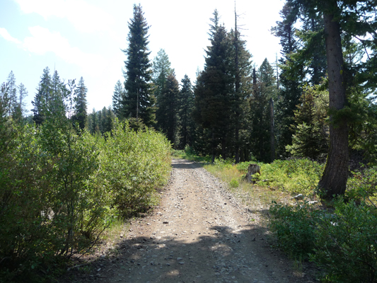 Jeep trail portion of Louie Lake Trail