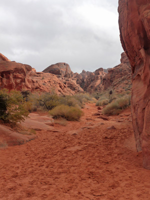 Beginning of Mouse Tank Trail Valley of Fire State Park NV