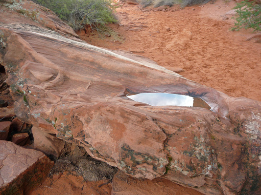 Basin along Mouse Tank Trail Valley of Fire State Park NV