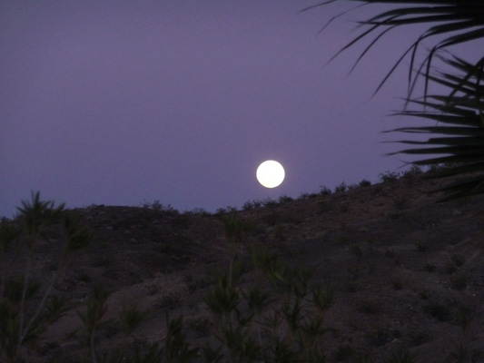 Almost full moon Callville Campground 