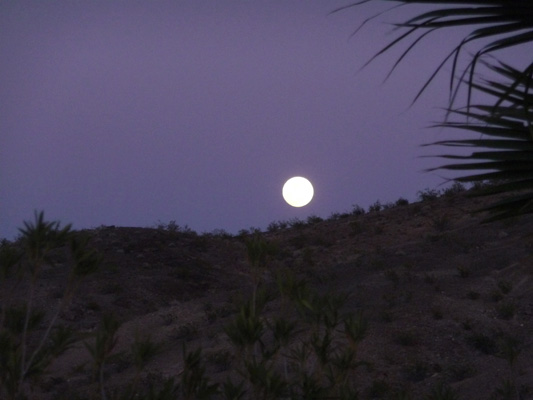 Almost full moon Callville Campground