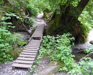 Bridge on Lake Serene Trail near Index WA