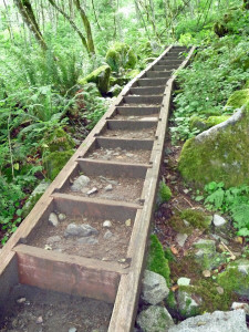 Stairs on the Bridal Veil Trail spur of the Lake Serene Trail near Index WA