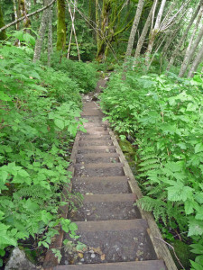 Stairs on the Bridal Veil Trail spur of the Lake Serene Trail near Index WA 