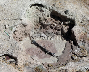 Mud pot at Bumpus Hell Lassen Volcanic National Park