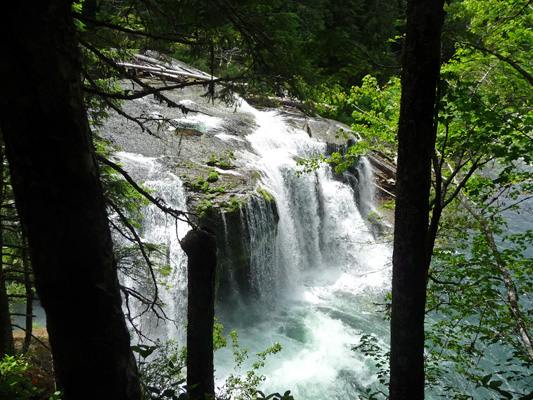 Lower Falls Lewis River WA