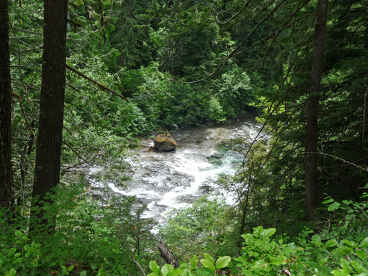 Lewis River WA