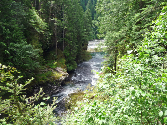 Lewis River WA