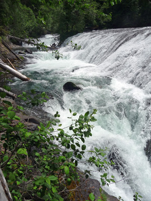 Upper Falls Lewis River