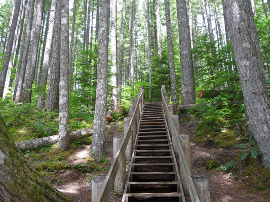 Stairs from Lewis River Trail to Lower Falls Overlook