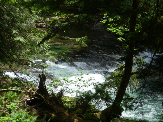 Rapids on Lewis River