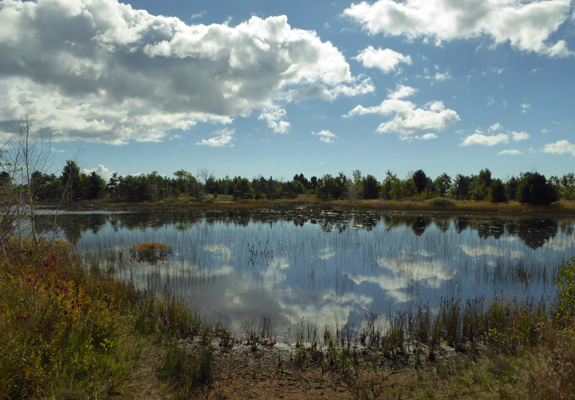 Pond Tawas Pt SP