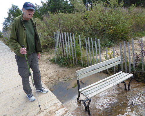 Walter Cooke park bench in water