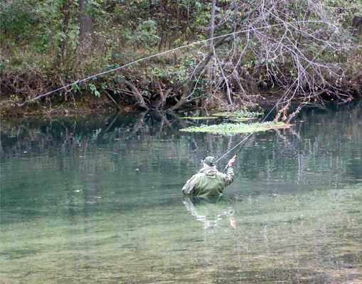 Fisherman Bennett Spring SP