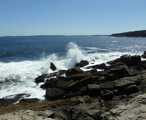 Surf on rocks Otter Point Acadia