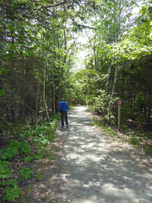 Carriage Road from Hulls Cove VC