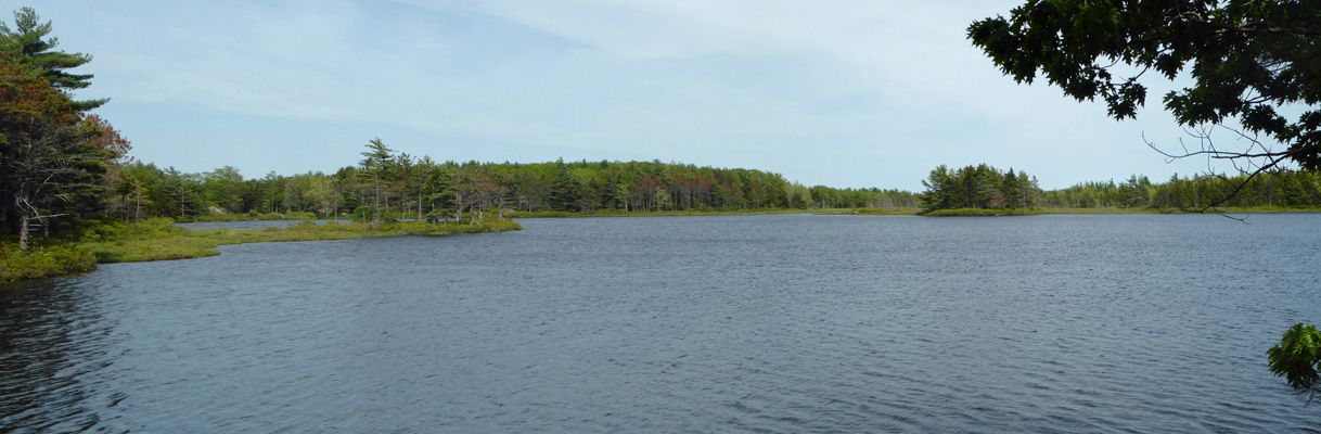 Witch's Hole Pond