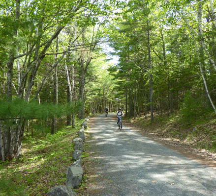 Bicycles on Carriage Road Acadia