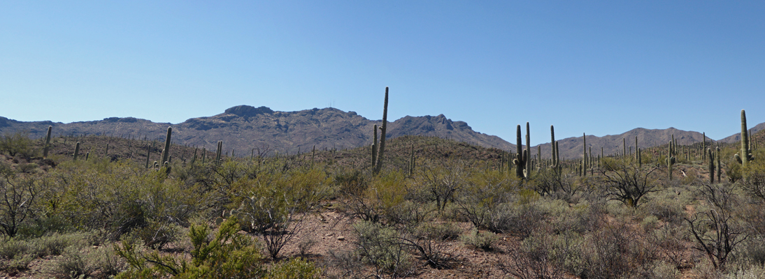 Sweetwater Preserve