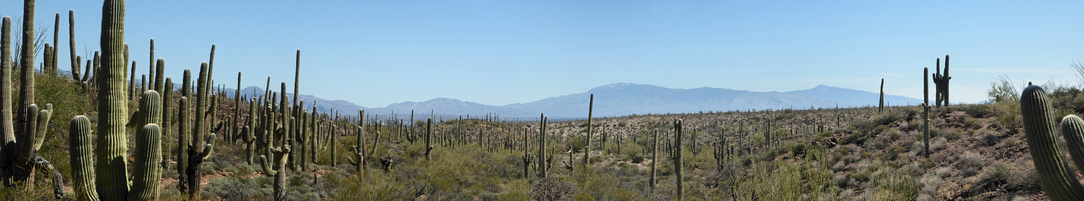 Sweetwater Preserve