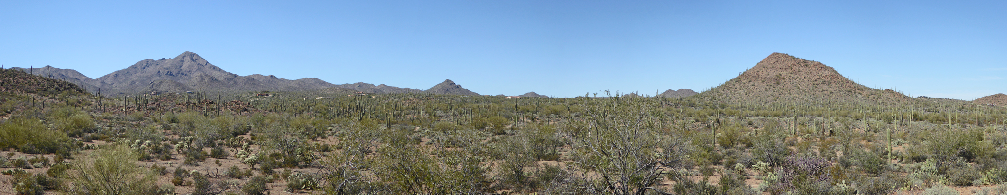 Sweetwater Preserve northward