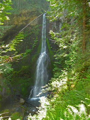 Marymere Falls Olympic National Park