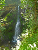 Marymere Falls Olympic National Park WA