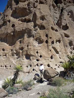 Walter Cooke and holes in the wall