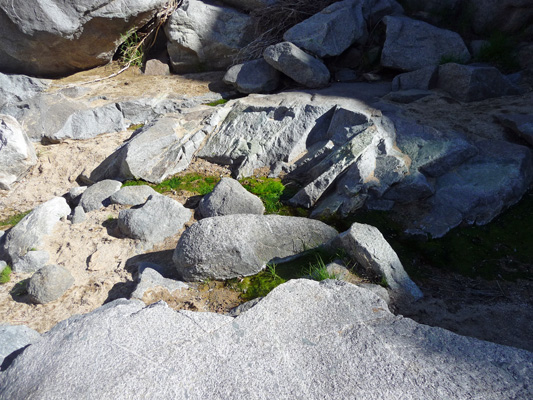 Rock Springs Mojave NP