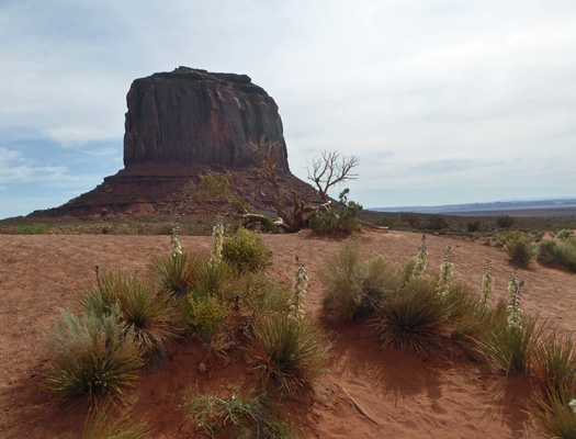 Merrick Butte