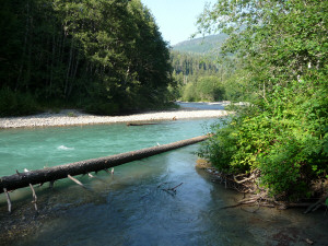 View of Nooksack River from campsite at Silver Fir Campground