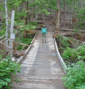 Collapsed bridge on trail to Monte Cristo