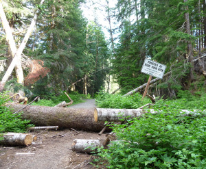 Monte Cristo trail landslide