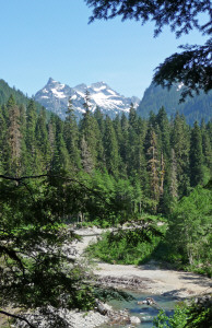 Mountain View from trail to Monte Cristo WA