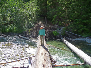 River crosing on a log Monte Cristo trail WA