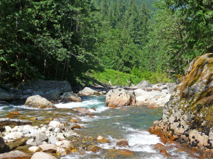 Sauk River from picnic spot along Mt Loop Highway