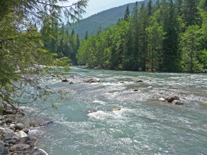 Whitechuck River near Mountain Loop Highway 