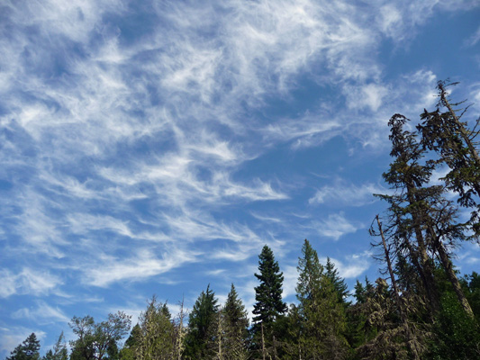 Mare's Tails clouds