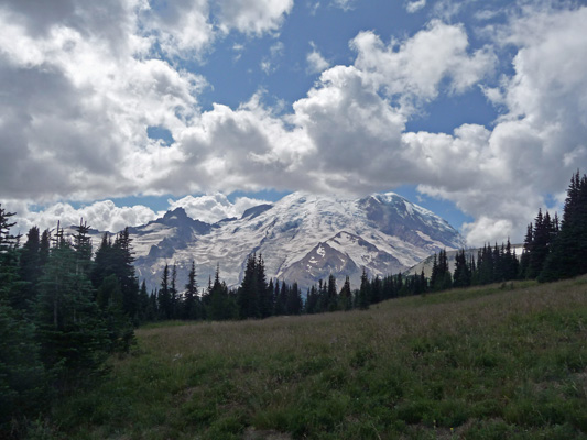 Mt Rainier from Sunrise