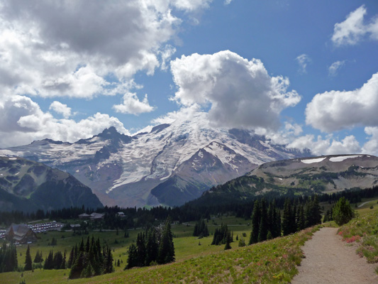 Mt. Rainier from Sunrise Nature Trail