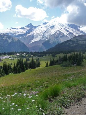 Mt Rainier and wildflowers