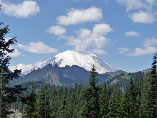 Mt Rainier