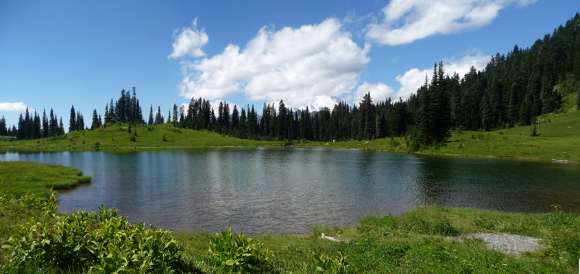 Mt. Rainier from Tipsoo Lake