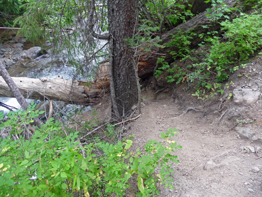 Approach to log crossing at Union Creek