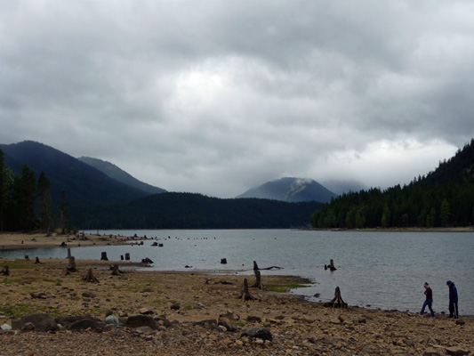 Bumping Lake shoreline WA