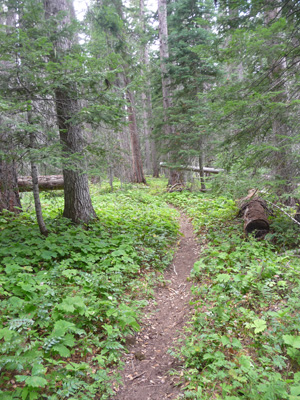 Pleasant Valley Loop Trail