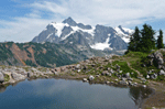 Mt Shuksan Picture Lake WA