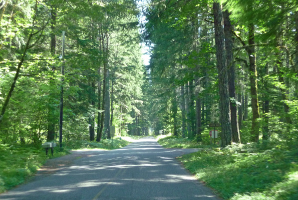 Forest Road 75 WA