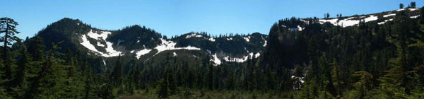 Morowitz Meadow Panorama