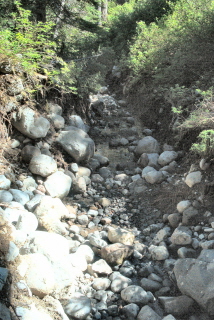 Creek through the trail